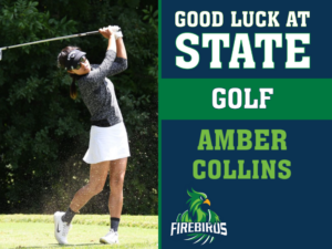 windsor charter academy golf yard signs