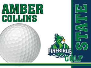 windsor charter academy golf yard signs