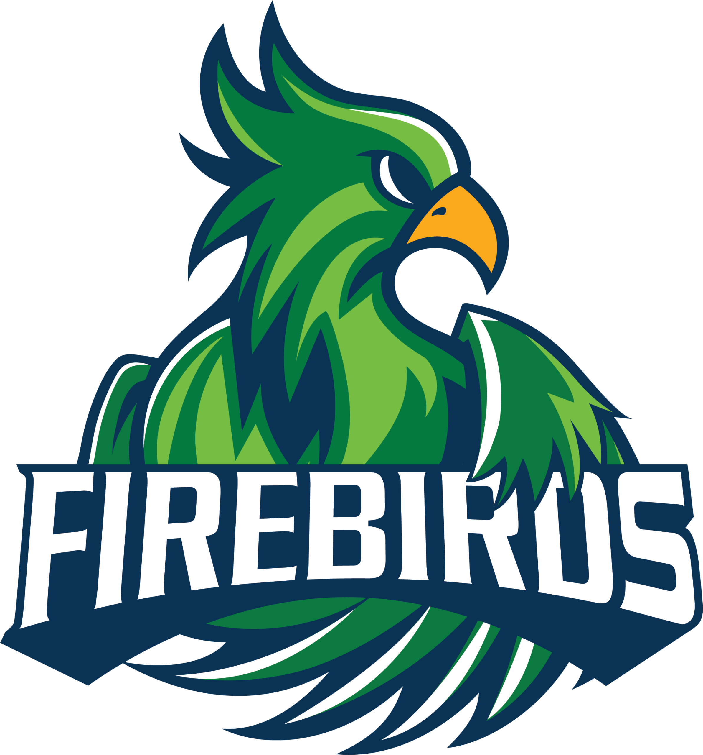 windsor charter academy firebird logo