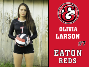 Eaton High School volleyball yard signs