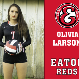 Eaton High School volleyball yard signs