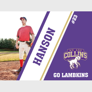 Fort Collins High School baseball yard signs