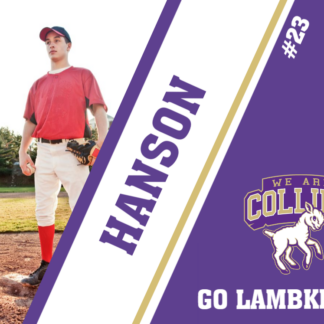 Fort Collins High School baseball yard signs