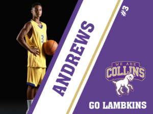 Fort Collins High School basketball yard signs