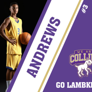 Fort Collins High School basketball yard signs