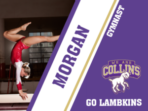 Fort Collins High School gymnastics yard signs