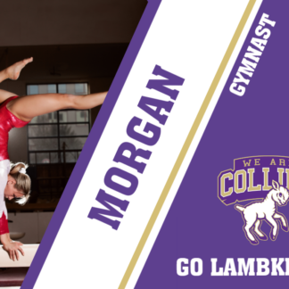 Fort Collins High School gymnastics yard signs