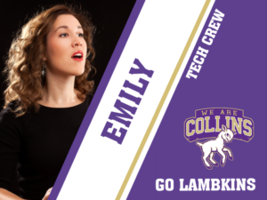 Fort Collins High School theatre yard signs