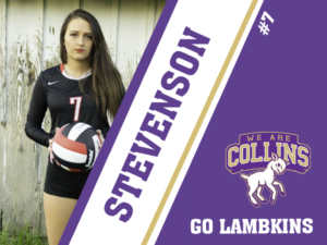 Fort Collins High School volleyball yard signs