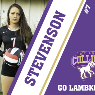 Fort Collins High School volleyball yard signs