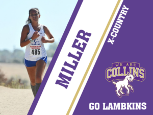 Fort Collins High School cross country yard signs