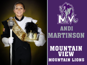 Mountain View High School band yard signs