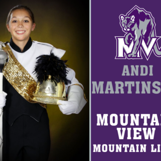 Mountain View High School band yard signs