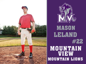 Mountain View High School baseball yard signs