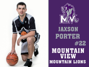 Mountain View High School basketball yard signs