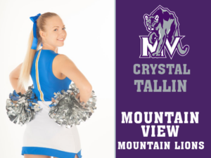 Mountain View High School cheer yard signs