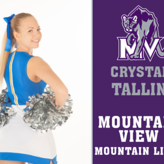 Mountain View High School cheer yard signs