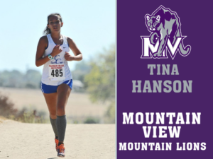 Mountain View High School cross country yard signs
