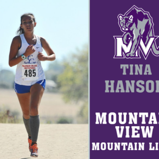 Mountain View High School cross country yard signs