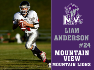 Mountain View High School football yard signs