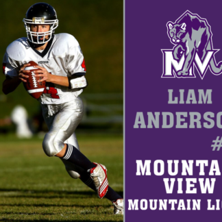 Mountain View High School football yard signs