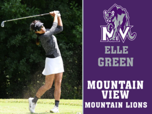 Mountain View High School golf yard signs