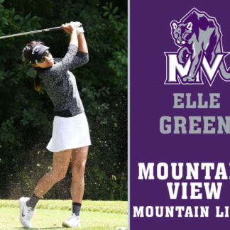 Mountain View High School golf yard signs