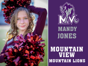 Mountain View High School poms yard signs