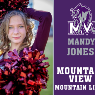 Mountain View High School poms yard signs