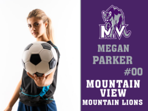 Mountain View High School soccer yard signs