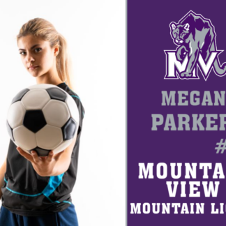 Mountain View High School soccer yard signs