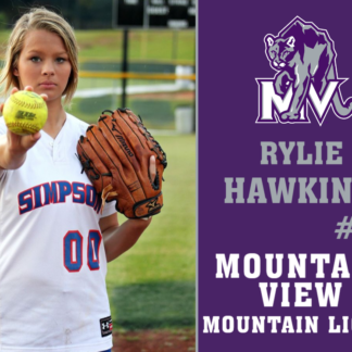 Mountain View High School softball yard signs