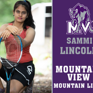 Mountain View High School tennis yard signs