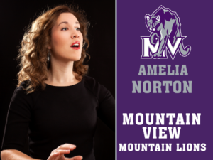 Mountain View High School theatre yard signs