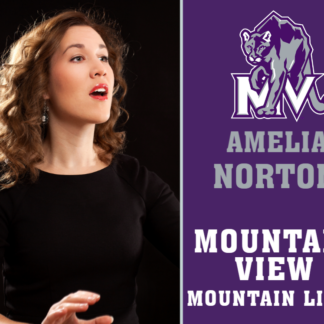 Mountain View High School theatre yard signs