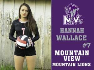 Mountain View High School volleyball yard signs