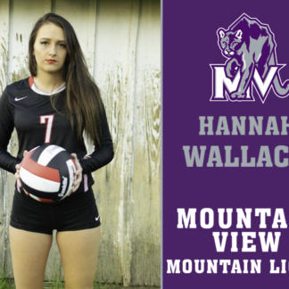 Mountain View High School volleyball yard signs