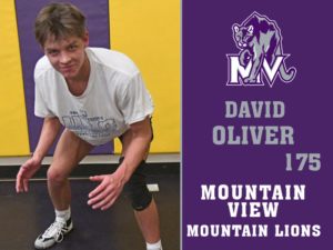 Mountain View High School wrestling yard signs