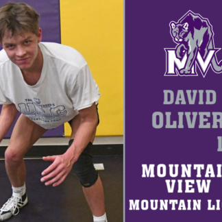 Mountain View High School wrestling yard signs