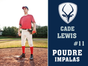 Poudre High School Baseball yard sign