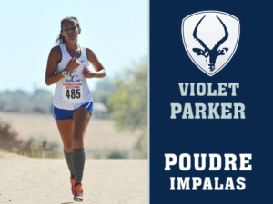 Poudre High School Cross Country yard sign