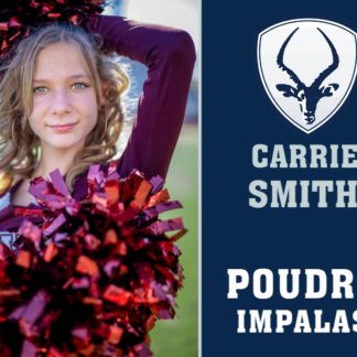 Poudre High School Dance Team yard sign
