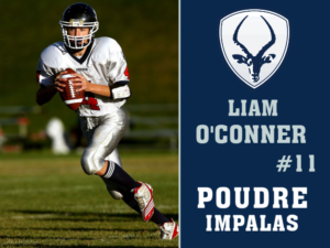 Poudre High School Football yard sign