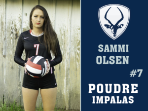 Poudre High School Volleyball yard sign