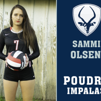 Poudre High School Volleyball yard sign