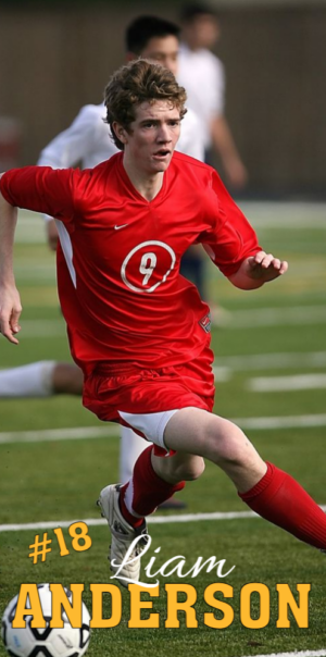 Thompson Valley High School sports banners