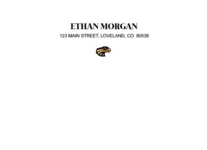 Thompson Valley High School logo envelopes