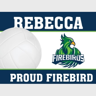 Windsor Charter Academy volleyball yard sign