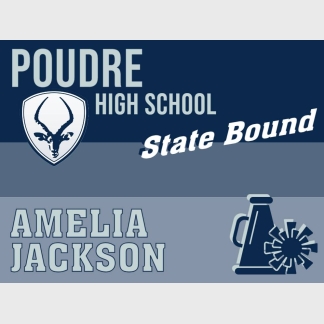 Poudre High School cheer state yard sign