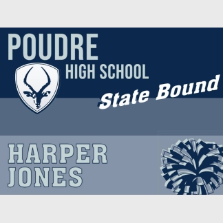 Poudre High School dance state yard sign